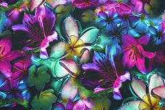 French Terry Digital Tropical Flower