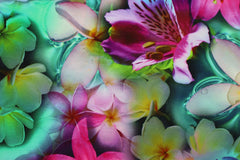 French Terry Digital Tropical Flower