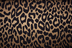 French Terry Digital Animal Skin