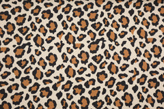 French Terry Digital Wild Leo