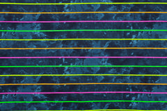 French Terry Neon Stripes