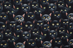 French Terry Digital Eyes on You - Black Cats