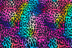 French Terry Digital Rainbow Leo - Design 2