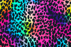 French Terry Digital Rainbow Leo - Design 2