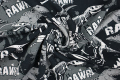French Terry RAWR Dino Fräulein von Julie 4354