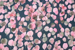 French Terry angeraut Eukalyptus SH - rosa/dunkelgrau