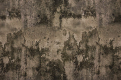 Baumwolljersey Steve Stone Fräulein von Julie