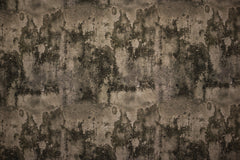 Baumwolljersey Steve Stone Fräulein von Julie