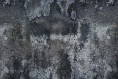 Baumwolljersey Steve Stone Fräulein von Julie