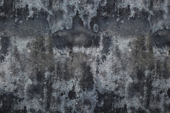 Baumwolljersey Steve Stone Fräulein von Julie