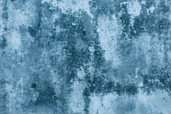 Baumwolljersey Steve Stone Fräulein von Julie