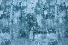 Baumwolljersey Steve Stone Fräulein von Julie