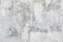 Baumwolljersey Steve Stone Fräulein von Julie