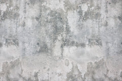 Baumwolljersey Steve Stone Fräulein von Julie