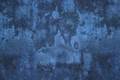 Baumwolljersey Steve Stone Fräulein von Julie