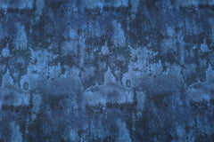 Baumwolljersey Steve Stone Fräulein von Julie