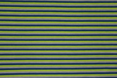 Baumwolljersey Parade Streifen - kiwi/dunkelblau/grau