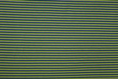 Baumwolljersey Parade Streifen - kiwi/dunkelblau/grau