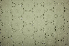 Baumwoll Voile Lochstickerei Mariella