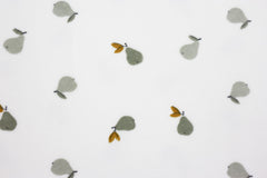 Nicky Velours Pears by Qjutie