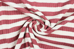 Rippenjersey Campan Stripes