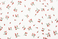 Rippenjersey Digital Mariella