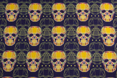 Softshell Graphic Skulls by KATINOH