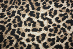 Reststück: 1,00m - Sweatshirt Stoff Animalprint