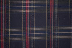 Bekleidungsstoff Tartan Check