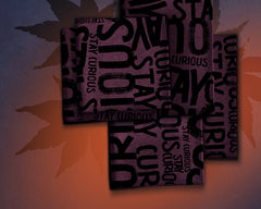 French Terry Stay Curious by Thorsten Berger - Kombi 1