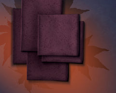 French Terry Stay Curious by Thorsten Berger - Kombi 2