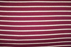 Viskose Strickjacquard Marina Streifen - beere