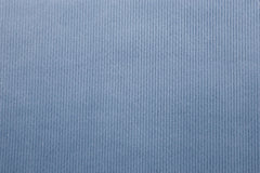 Doubleface Rippensweat Teddy Lola