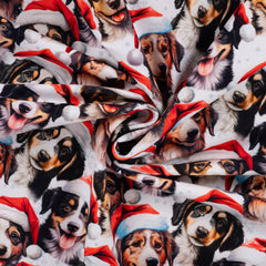 French Terry angeraut Digital Weihnachtsrudel