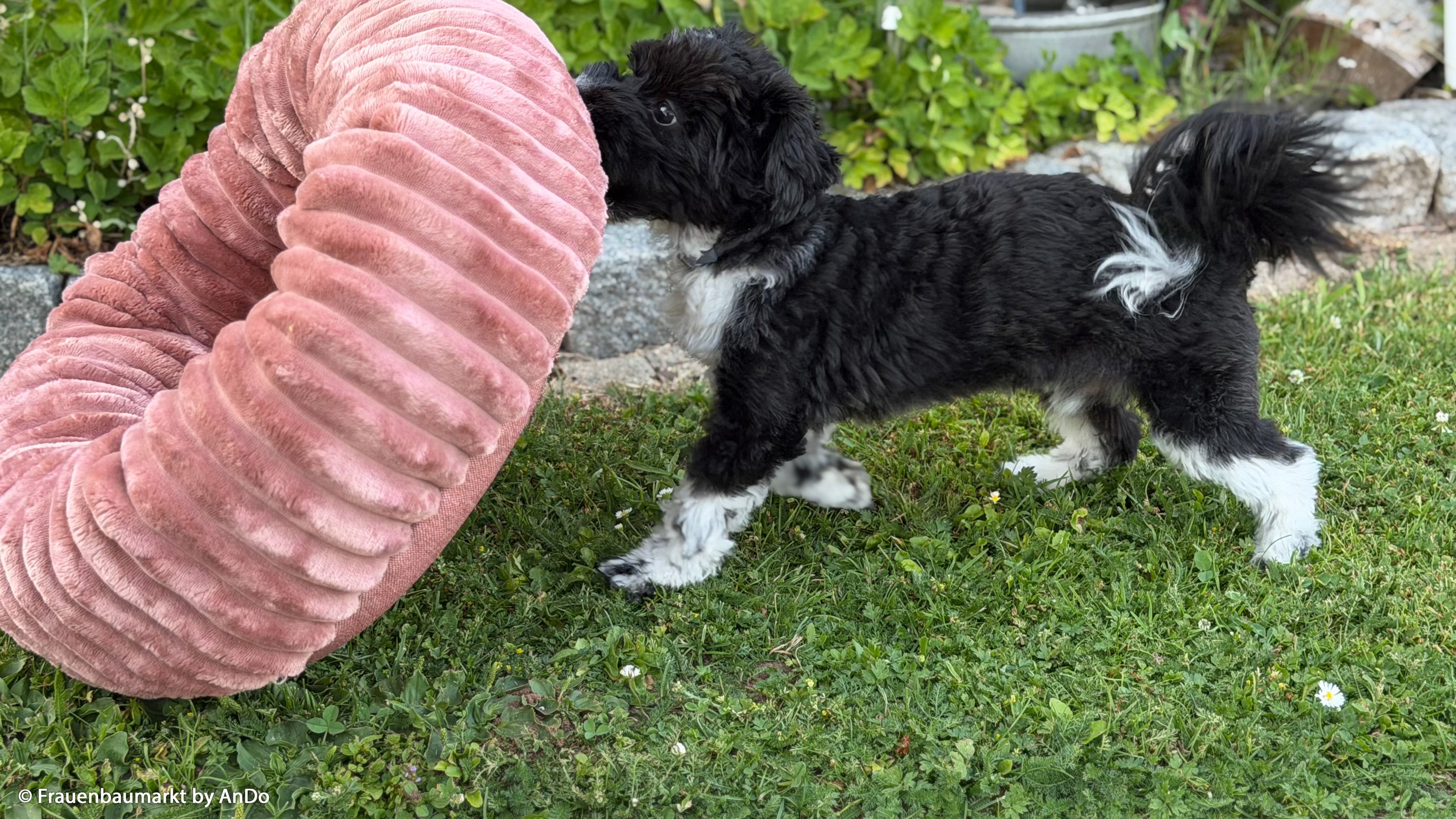 Plüsch Breitcord Plön in der Farbe altrosa Nähbeispiel Hundekörbchen bei Der Buntspecht