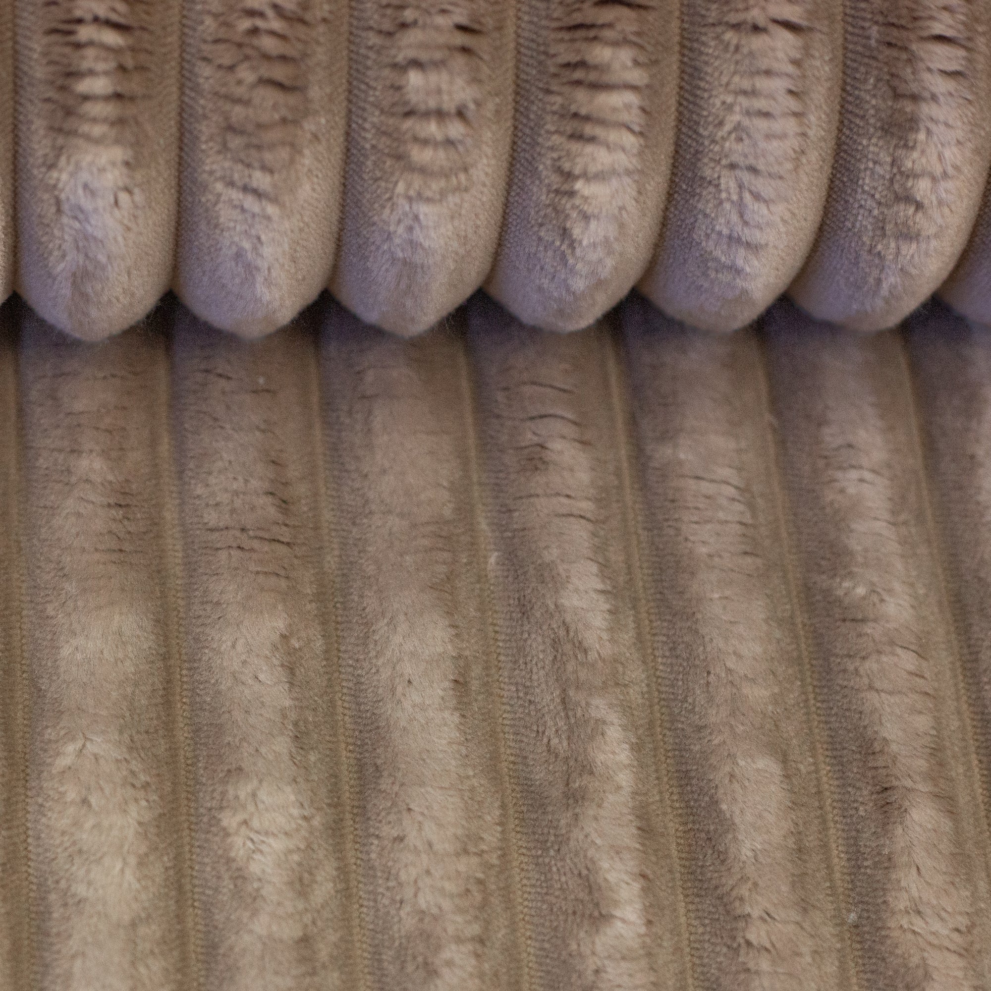 Plüsch Breitcord Plön in der Farbe taupe bei Der Buntspecht