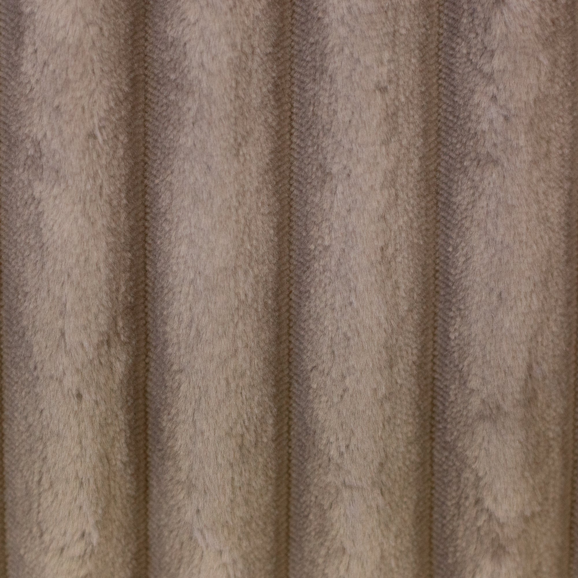 Plüsch Breitcord Plön in der Farbe taupe bei Der Buntspecht