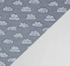 Alpenfleece Nils Wolken