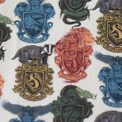 Lizenz Canvas Harry Potter