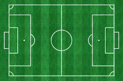 Panel Canvas Field