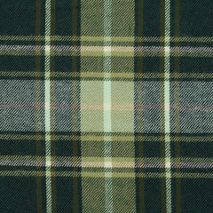 Baumwollflanell Maverick - 564 grün