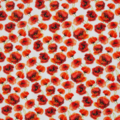 Baumwolljersey Danielas Mohnblumen