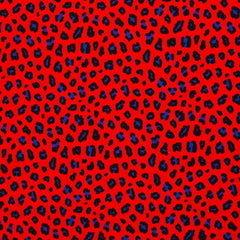 Canvas Abby Leo Print