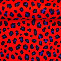 Canvas Abby Leo Print