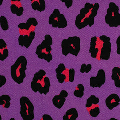 Canvas Abby Leo Print