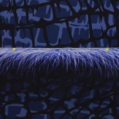 Monsta Pillows by Thorsten Berger dunkelblau