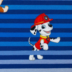 Lizenz Baumwolljersey Paw Patrol - Streifen