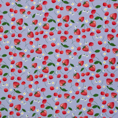 Baumwolljersey Melody Obst