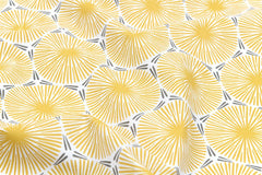 Outdoor Webware PVC-beschichtet Cycas