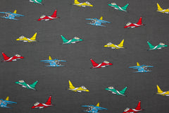 Baumwolljersey Niklas Planes - grau